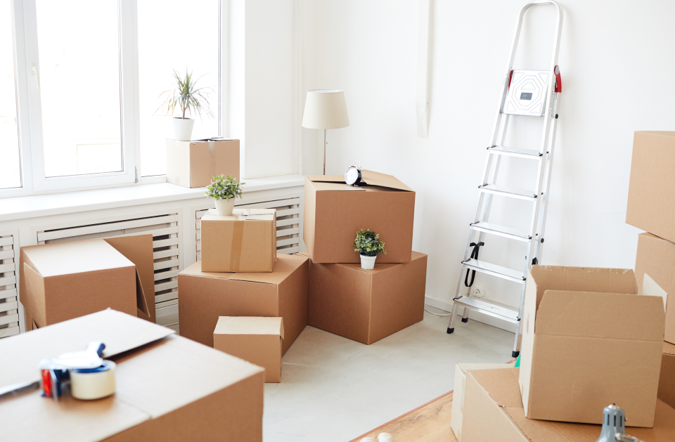 Move In Move Out Cleaning